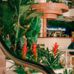 zonadecomidas_obelisco_15