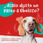 17872028075839492_obeliscocc