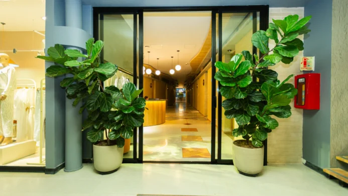 Hotel Boutique Obelisco Medellín